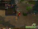 eternal-lands-storage