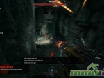 evolve-stage-2-dark