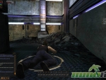 Fallen-Earth-prone