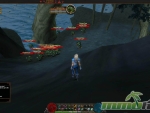 faxion-online-toads