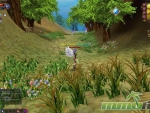 Fiesta-Online-example