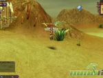 Fiesta-Online-fort