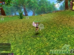 Fiesta-Online-standing