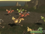 final-fantasy-xi-chocobo