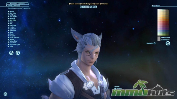 FFXIV-Customize
