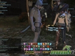 FF14-WTF