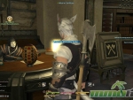 FFXIV-Visit