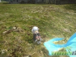 Final-Fantasy-14-Blue