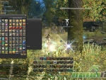 Final-Fantasy-14-Mature-Tree