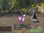 Final-Fantasy-14-Pink-Chocobo