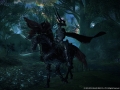 Final_Fantasy_XIV_Screenshot_01.jpg