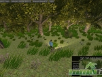 first-earth-forest
