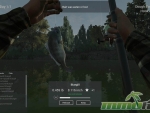 Fishing-Planet-bait-was-eaten