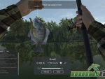 Fishing-Planet-fish-bluegill