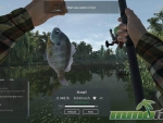 Fishing-Planet-friends