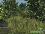 Fishing-Planet-grass