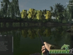 Fishing-Planet-reeds