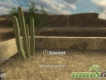 fistful-of-frags-cactus