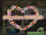 flower-knight-girl-affection