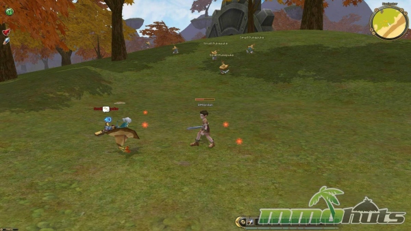 Fly-for-fun-MMORPG-flyff