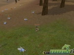 Fly-for-fun-fields