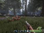 fragmented-gun