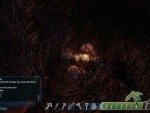 fragmented-mmorpg