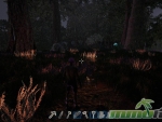 fragmented-survival-mmo