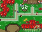 graal-online-classic-swamp