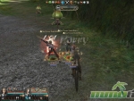Granado-Espada-parry