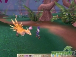 Grand-Fantasia-Bird