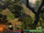 grim-dawn-through-the-woods