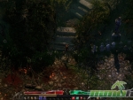 grim-dawn-up-to-burial-hill