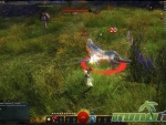 Guild-Wars-2-20-Dmg