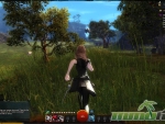 Guild-Wars-2-Arenanet
