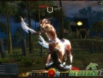 Guild-Wars-2-Bowman__from_overview1
