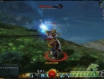 Guild-Wars-2-Combat-891