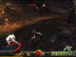 Guild-Wars-2-DMG-2
