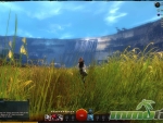 Guild-Wars-2-Dams