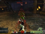 Guild-Wars-2-Dual