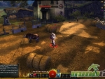 Guild-Wars-2-Farm