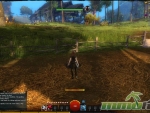Guild-Wars-2-Fence