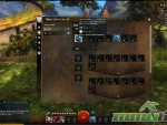 Guild-Wars-2-Hero-Skills