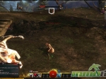 Guild-Wars-2-Shield