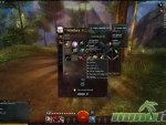Guild-Wars-2-Vest
