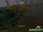 H1Z1-Branch
