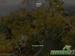 H1Z1-item-Drop