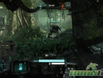 Hawken-jungle