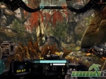 Hawken-vegetation