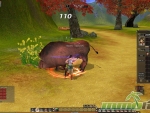 Hero-Online-big-boar